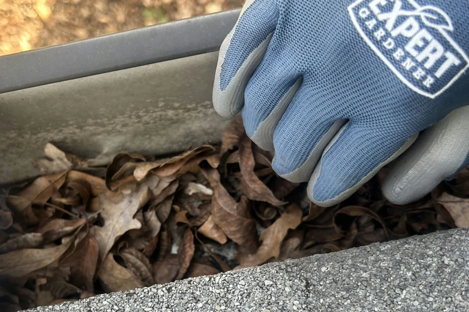 Gutter Cleaning Medina